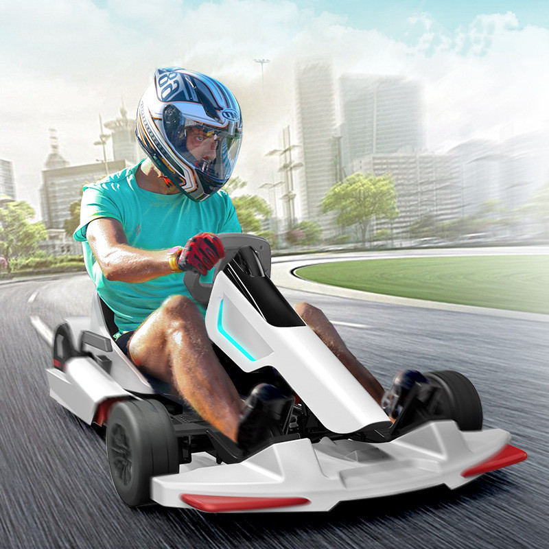 다기능 카트 어린이 및 성인용 실내외 필드 드리프트 전 - Kids Outdoor Karting 리뷰 및 가격