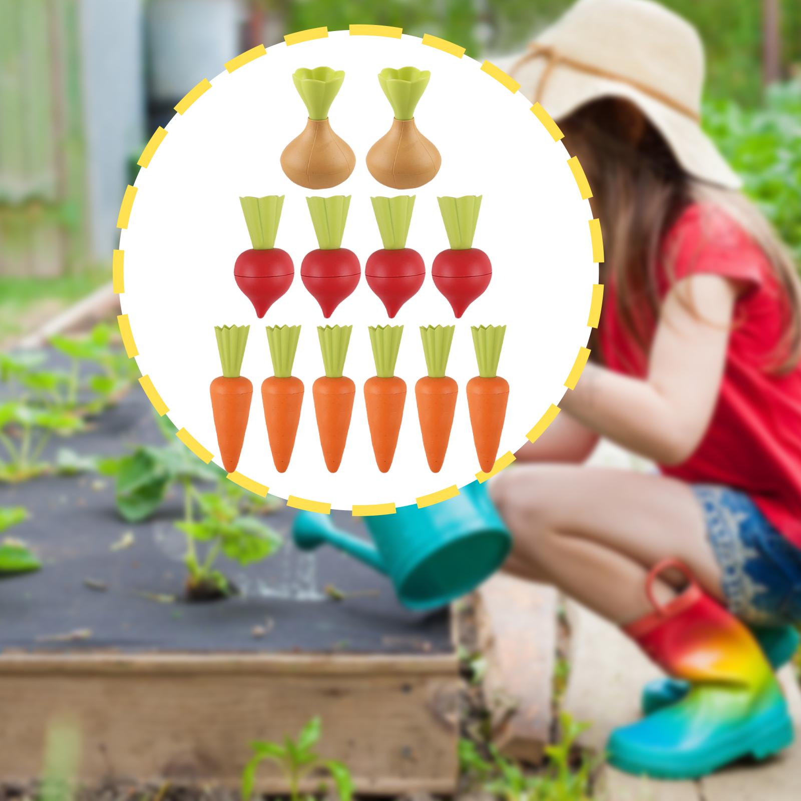 해변 장난감 편안한 이상적인 선물 독특한 식물 인식 교 - Kids Unique Outdoor Toys 리뷰 및 가격