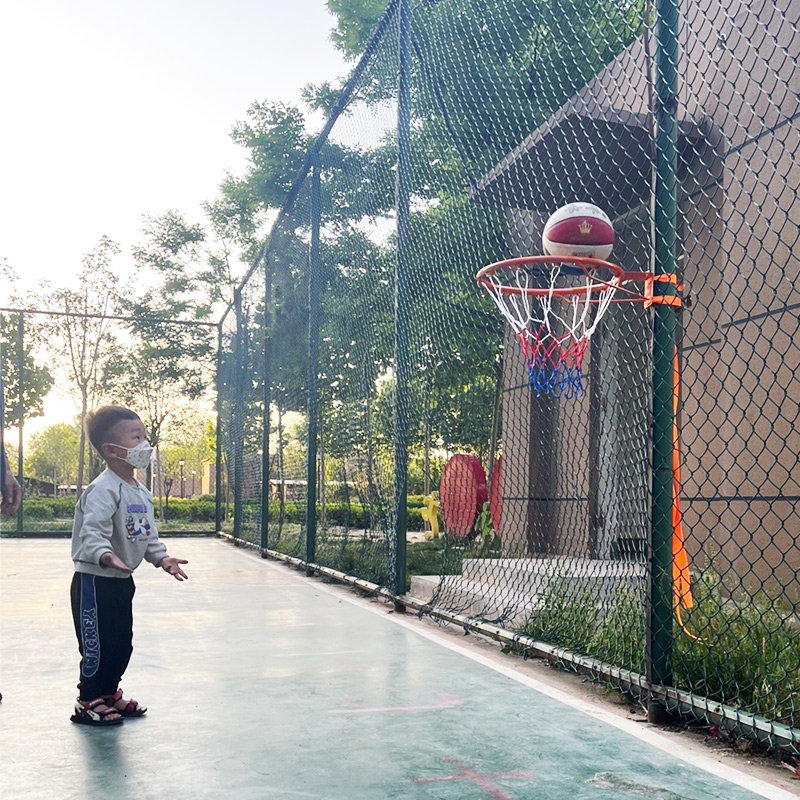 펀치 프리 농구 후프 표준 스틸 림 프레임, 휴대용 야 - Kids Outdoor Frame 리뷰 및 가격