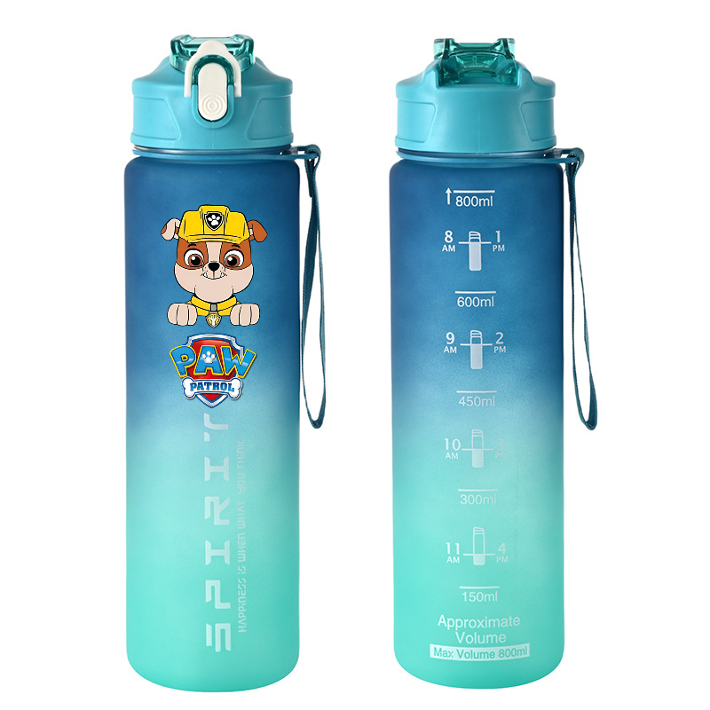 800ml PAW Patrol 스포츠 물병 애니메이션  - Kids Outdoor Kitchen 리뷰 및 가격