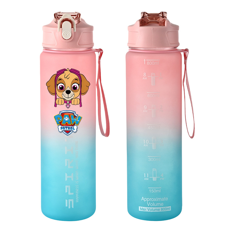 800ml PAW Patrol 스포츠 물병 애니메이션  - Kids Outdoor Kitchen 리뷰 및 가격