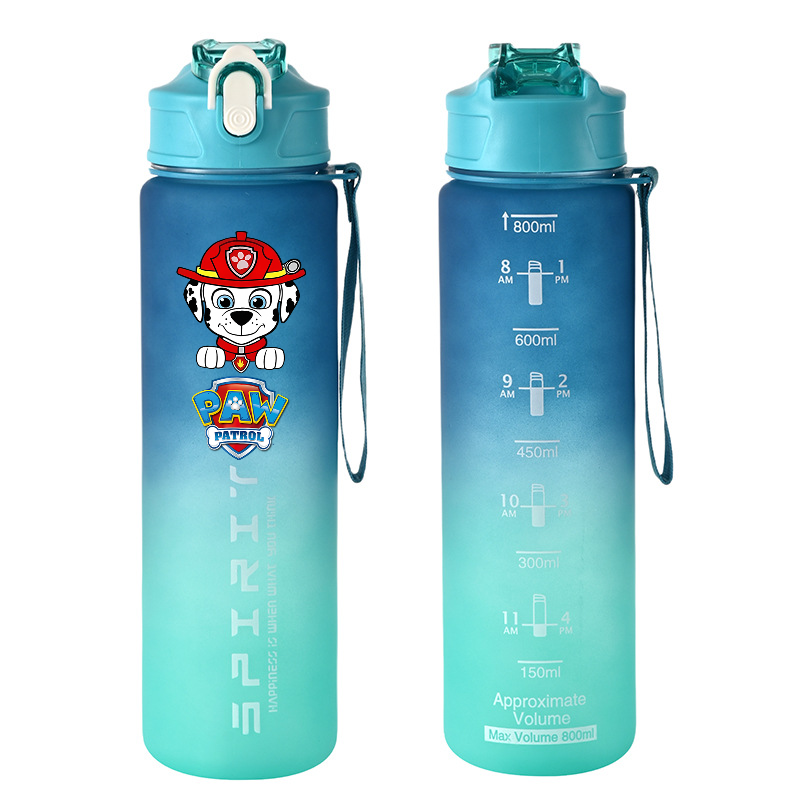 800ml PAW Patrol 스포츠 물병 애니메이션  - Kids Outdoor Kitchen 리뷰 및 가격