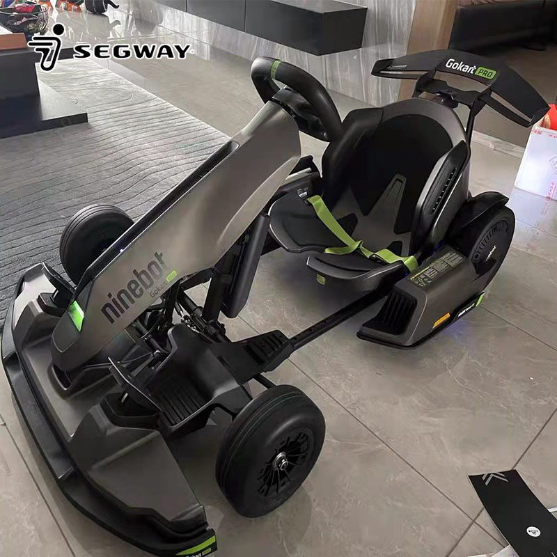 고카트 프로 2 고카트 2400W 43KM/H 야외 레 - Kids Outdoor Karting 리뷰 및 가격