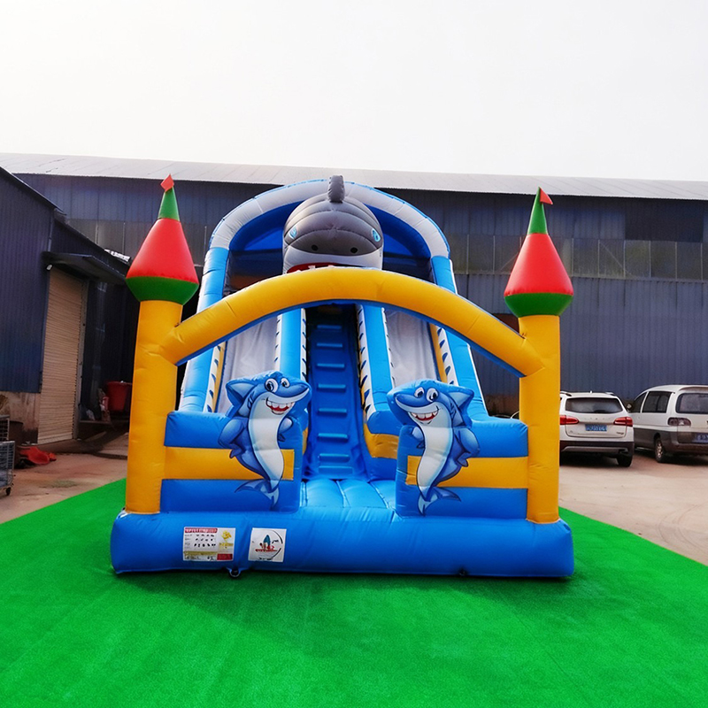 대여 가능한 소형 야외용 두꺼운 PVC 에어바운스 슬라 - Kids Outdoor Fun 리뷰 및 가격